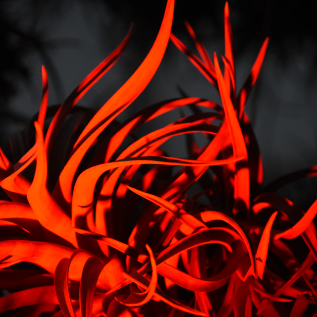 "Contours of Flame" stock image