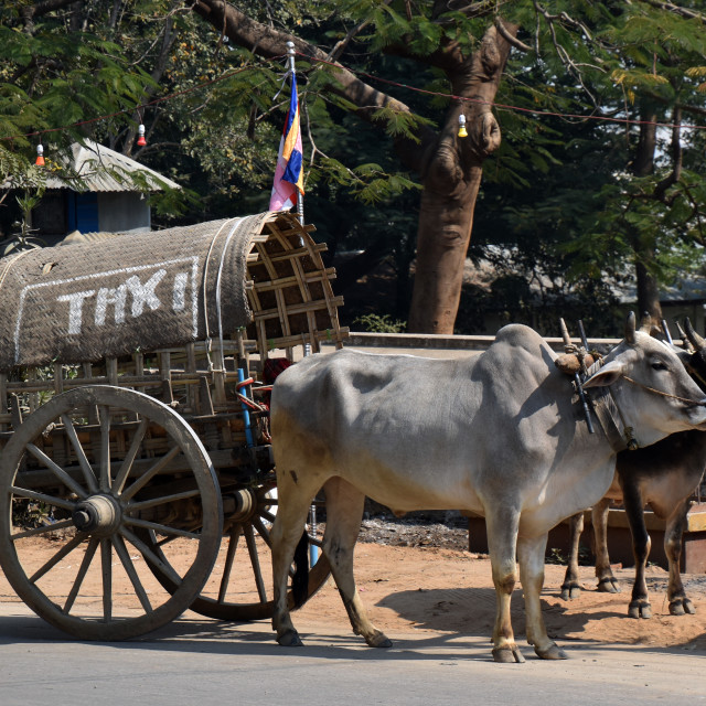 "Myanmar Uber?" stock image