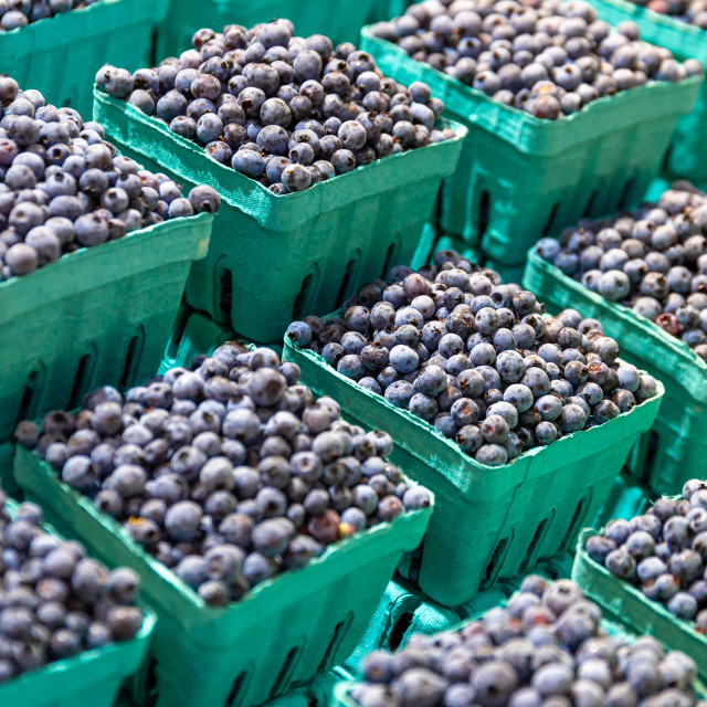 "Fresh blueberries for sale on a market stall" stock image
