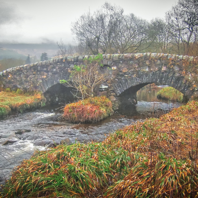 "Old bridge, Scotland" stock image