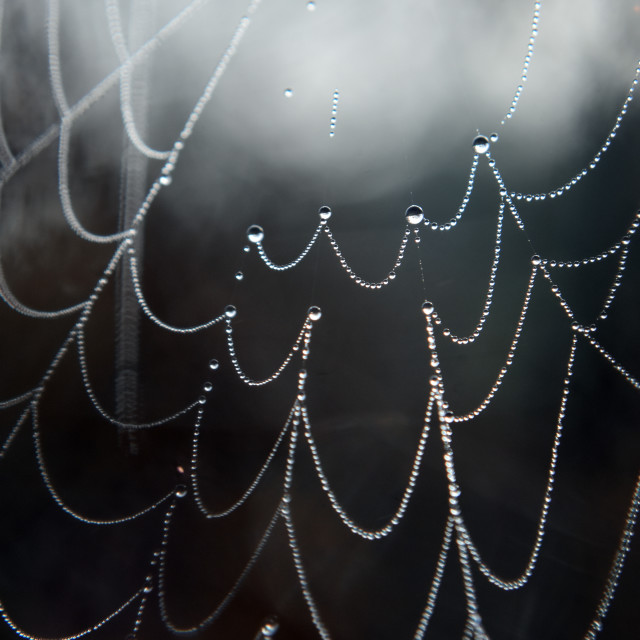 "Threads of Winter" stock image