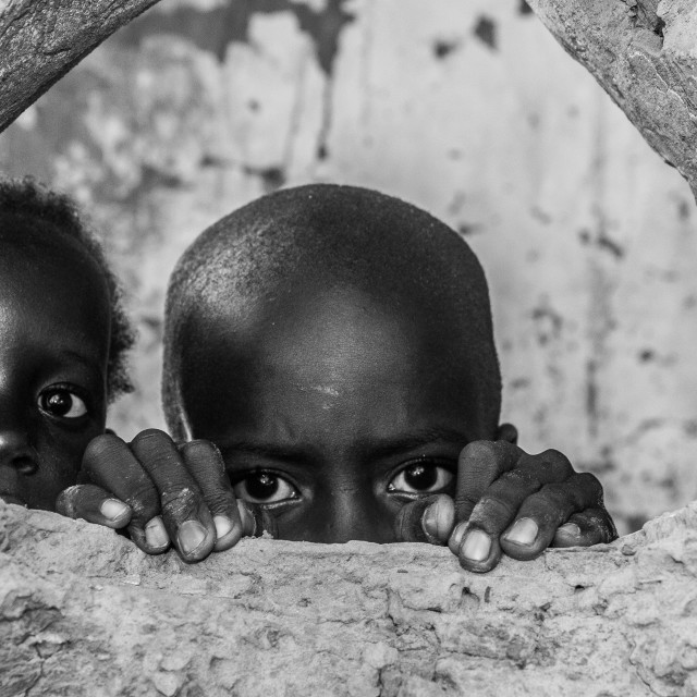 "Curiosity" by Anibal Bueno - $12.20 "Curiosity" stock image