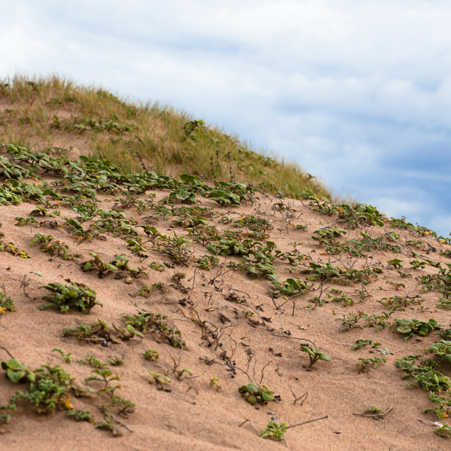 "Landscape Photo of a Large Sand Dune With Dramatic Cloudy Sy" stock image