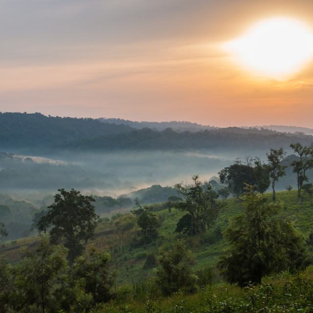 "Sunrise in Bwindi Impenetrable forest" by Anibal Bueno - $12.20 "Sunrise in Bwindi Impenetrable forest" stock image