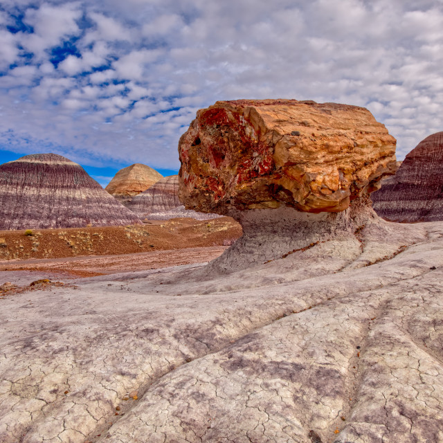 "A large petrified log along the Blue Mesa Trail in Petrified Forest National..." stock image