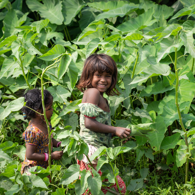 "Children of Nepal" by Charley Vision - $5.02 "Children of Nepal" stock image