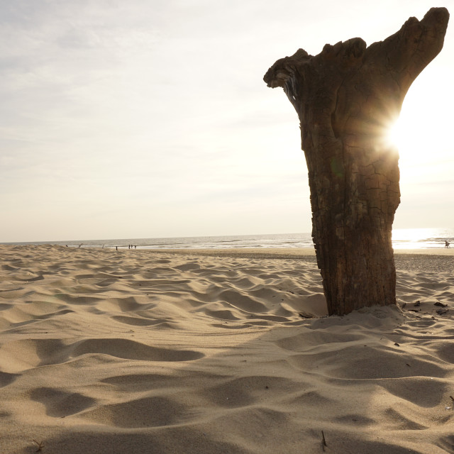 "Sunset in Texel" by Charley Vision - $4.88 "Sunset in Texel" stock image