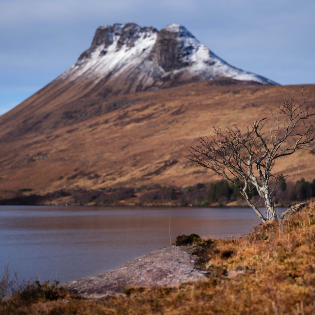 "Lone Tree at Loch Lurgainn" by Jeff Carter - $12.33 "Lone Tree at Loch Lurgainn" stock image