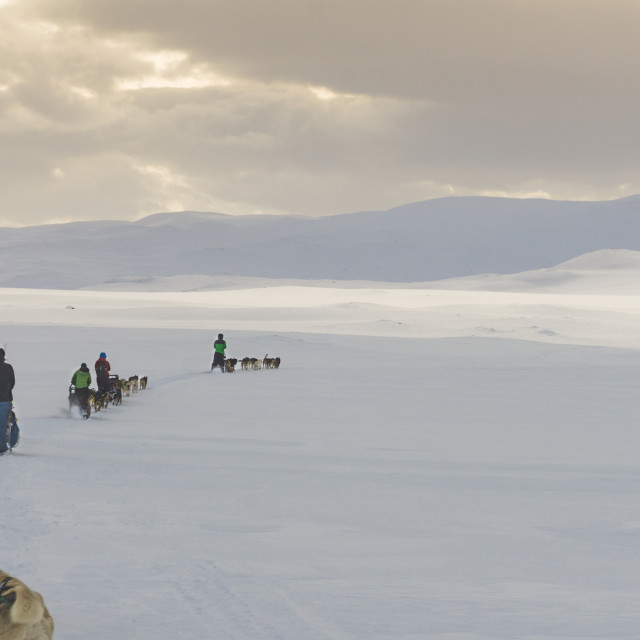 "Landscapes during my Arctic Expedition" by Charley Vision - $4.88 "Landscapes during my Arctic Expedition" stock image
