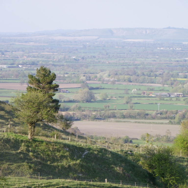 "The North Wessex Downs with Bratton Camp" stock image