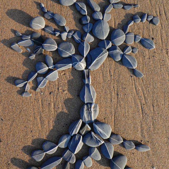 "pebble tree of life on beach sand" stock image