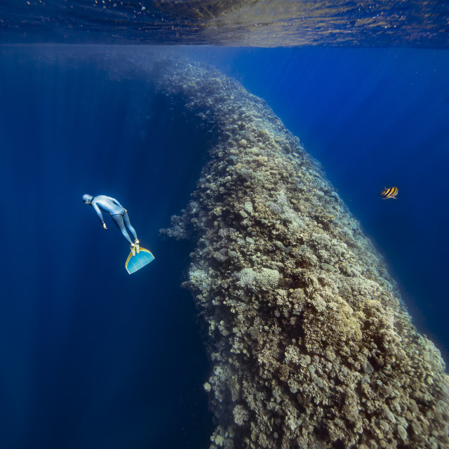 "Facing the Deep" stock image