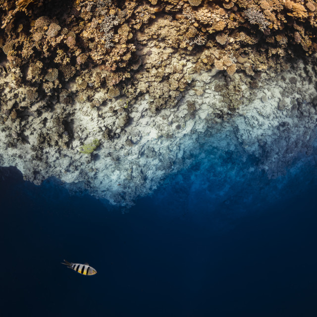 "The Edge" by Huub Waaldijk - £40.00 "The Edge" stock image