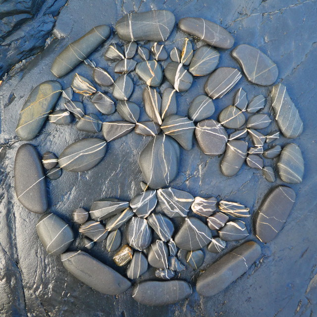 "tree of life from beach pebbles" stock image