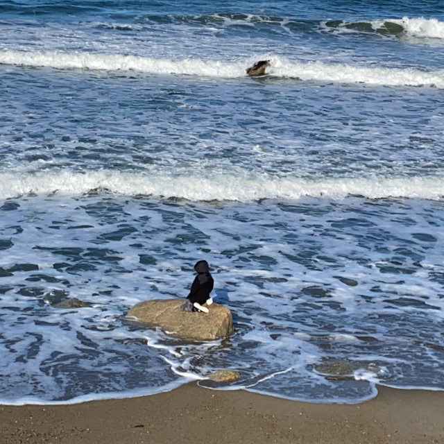 "Stranded" stock image