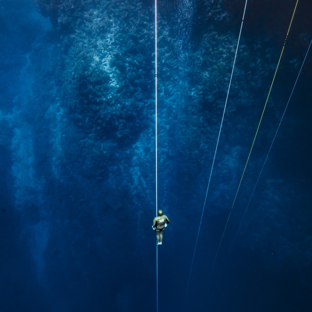 "The dephts of the Blue Hole" by Huub Waaldijk - £40.00 "The dephts of the Blue Hole" stock image