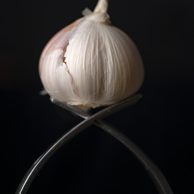 "Garlic Bulb" stock image