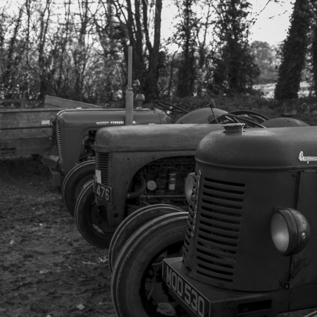 "KMC Tractor Run 2019" by Dorset Rural Photography - £5.00 "KMC Tractor Run 2019" stock image