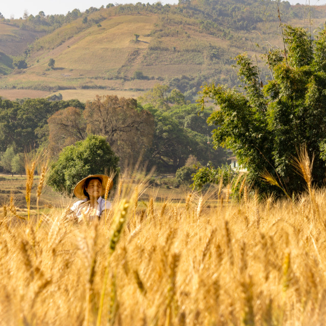 "Faces of Myanmar - Trek through the Inle Region" by Charley Vision - $4.88 "Faces of Myanmar - Trek through the Inle Region" stock image