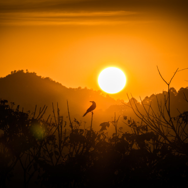 "Sunset in Kalaw" by Charley Vision - $4.89 "Sunset in Kalaw" stock image