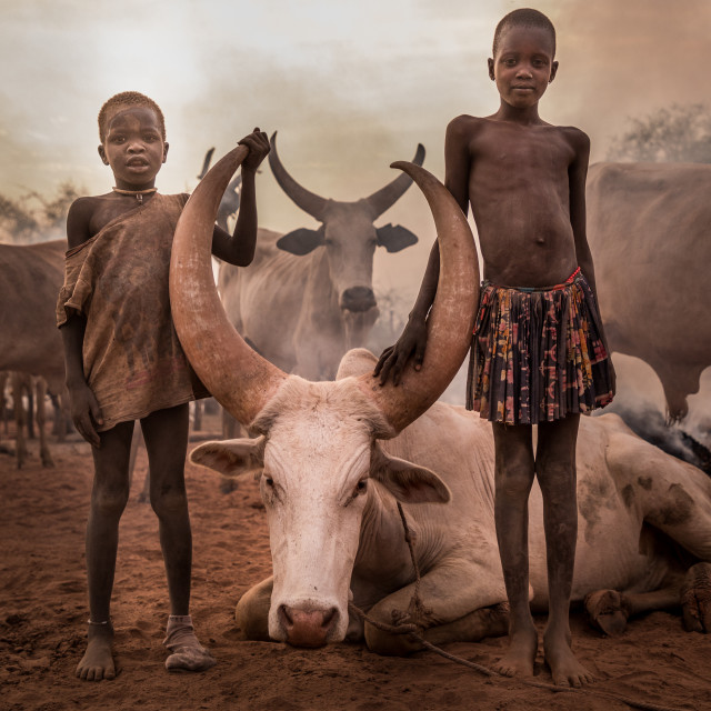 "Young mundari taking care of the cattle" stock image