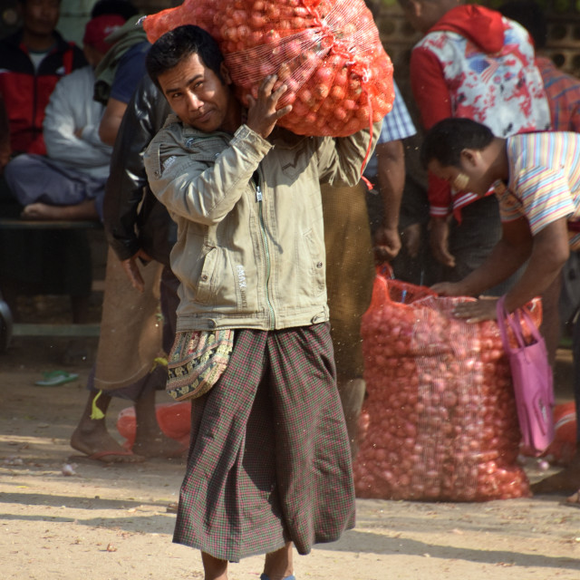 "Heavy Load # 5" stock image