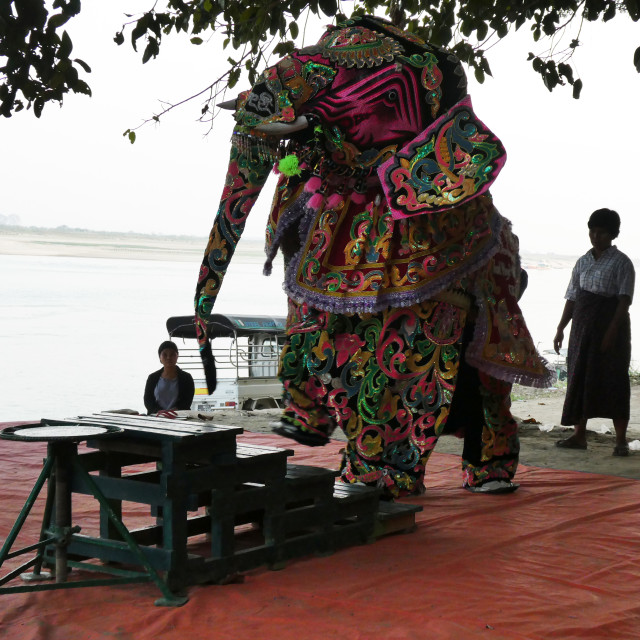 "Elephant Dance" stock image