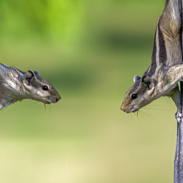 "Communication Is Key." stock image