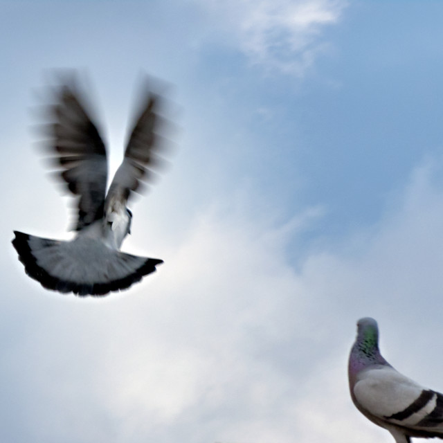 "Bidding Adieu" by www.nishantdavid.ca - $16.51 "Bidding Adieu" stock image