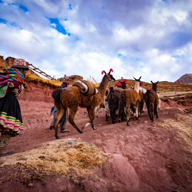 "Nomadic life." stock image