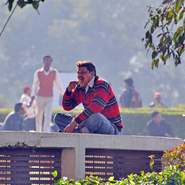 "Lunch In The Sun..." stock image