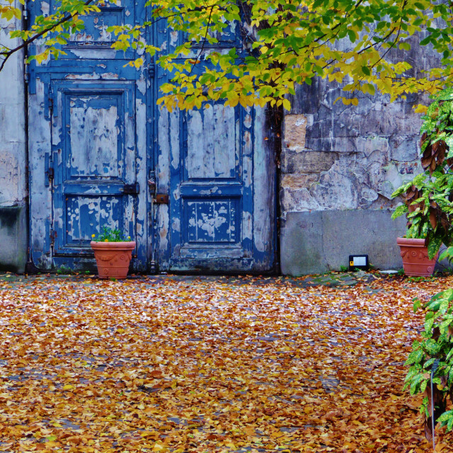 "Autumn in Jardin des Plantes, Paris, France" stock image