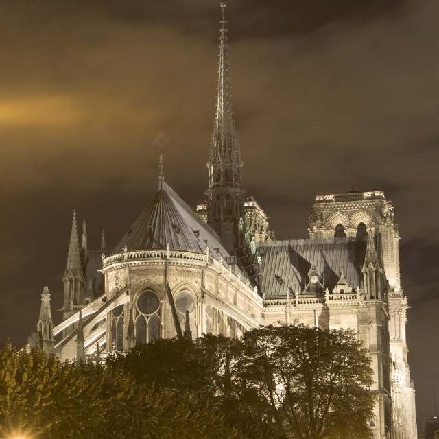 "Notre-dame de Paris, France" stock image