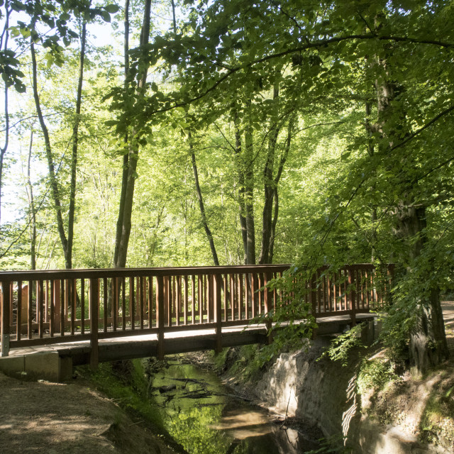 "pedestrian bridge crossing a creek" stock image