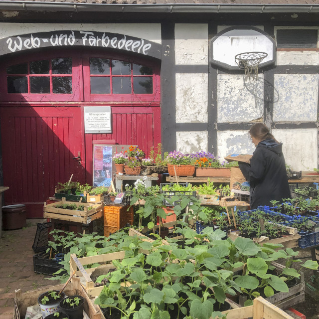 "direct sale of garden plants on a small farm" stock image