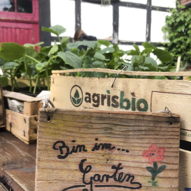 "direct sale of garden plants on a small farm" stock image