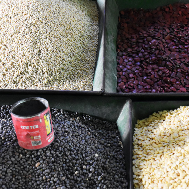 "Bean Choice" by Len Howell - $14.73 "Bean Choice" stock image