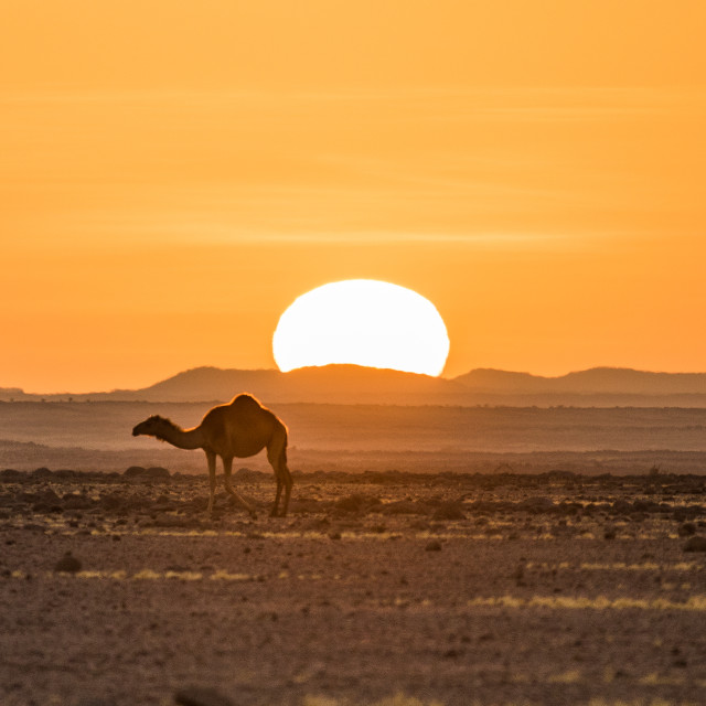 "Sunset at Ennedi desert (Chad)" stock image