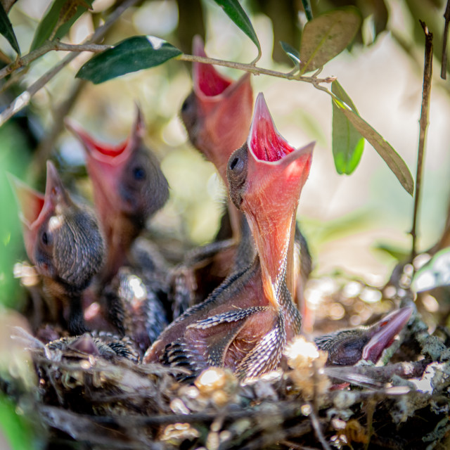 "New Life" stock image