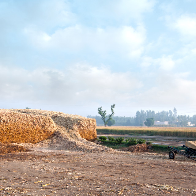 "A Countryside Landscape.." stock image