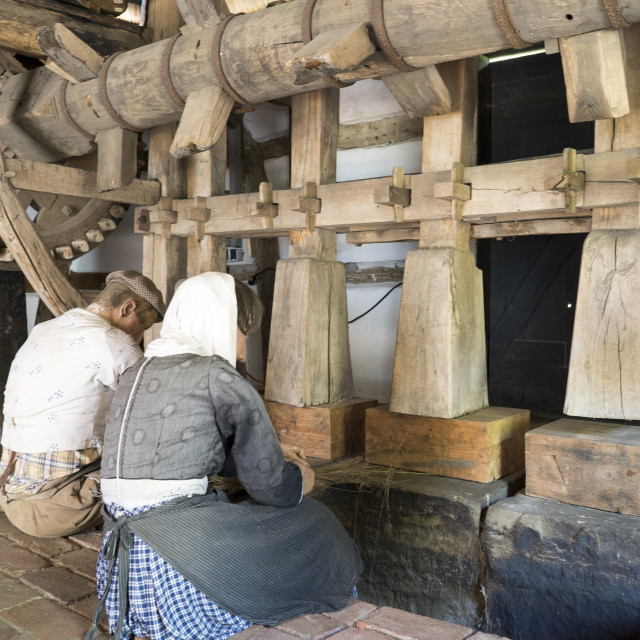 "Bielefeld farmhouse museum" stock image