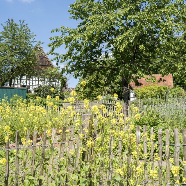 "Bielefeld farmhouse museum" stock image