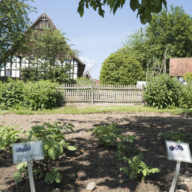 "Bielefeld farmhouse museum" stock image