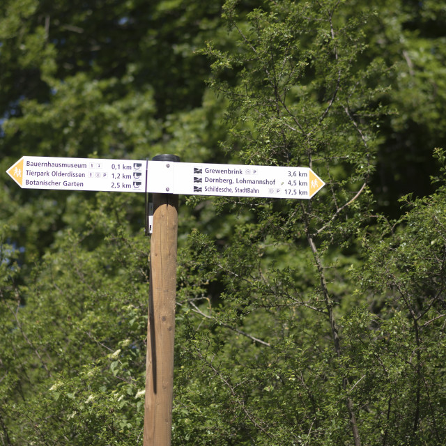 "Teutoburger Wald Forest hiking trail signposting" stock image