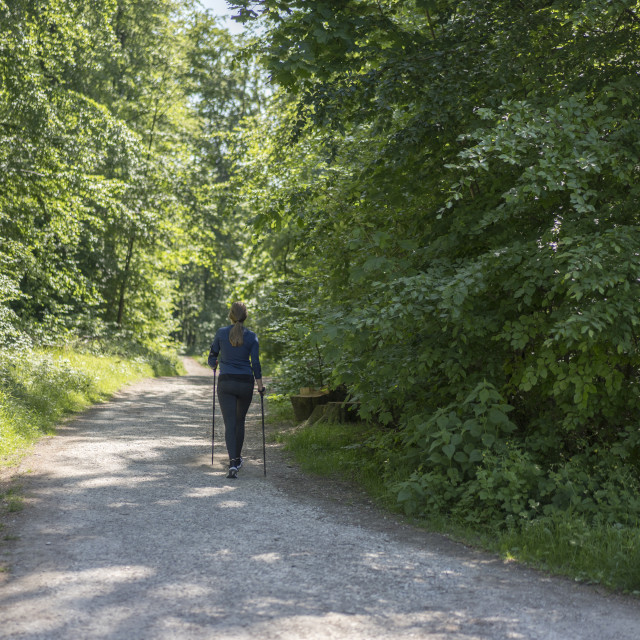 "Nordic Walker in Teutoburger Wald Forest" stock image