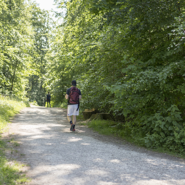 "Nordic Walker in Teutoburger Wald Forest" stock image