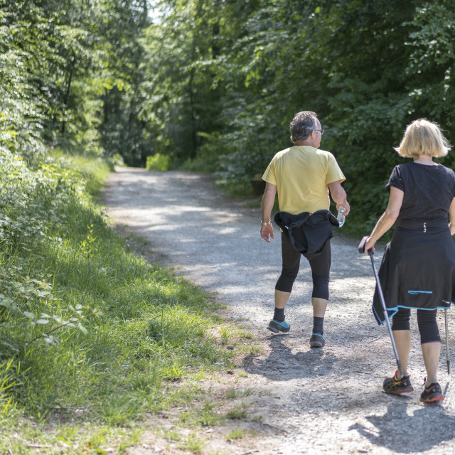 "Nordic Walker in Teutoburger Wald Forest" stock image