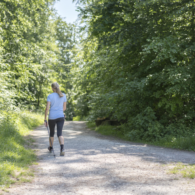 "Nordic Walker in Teutoburger Wald Forest" stock image