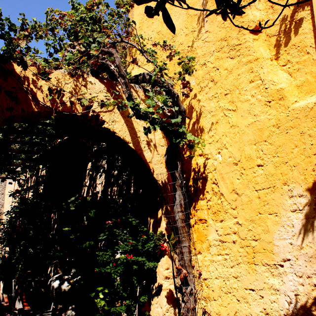 "Yellow wall in the back streets in the old town of Rhodes" by Julian Worker - £5.00 "Yellow wall in the back streets in the old town of Rhodes" stock image