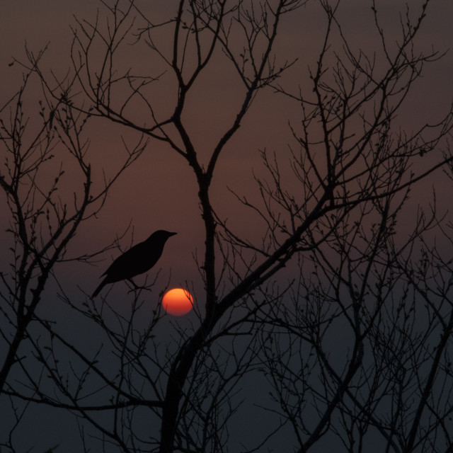 "The Sun Set Point, Kasauli" stock image